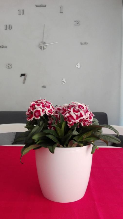 مبيت وإفطار San Giovanni Gemini Sweety House المظهر الخارجي الصورة
